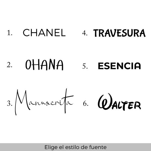 Vista de los diferentes estilos de tipografía disponibles para el nombre en la ilustración de tu gato.